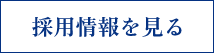 採用情報を見る