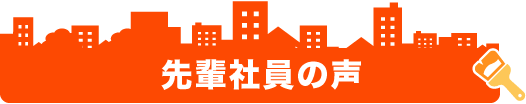 先輩社員の声