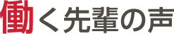働く先輩の声