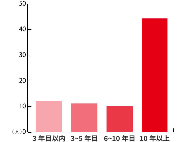 入社歴グラフ