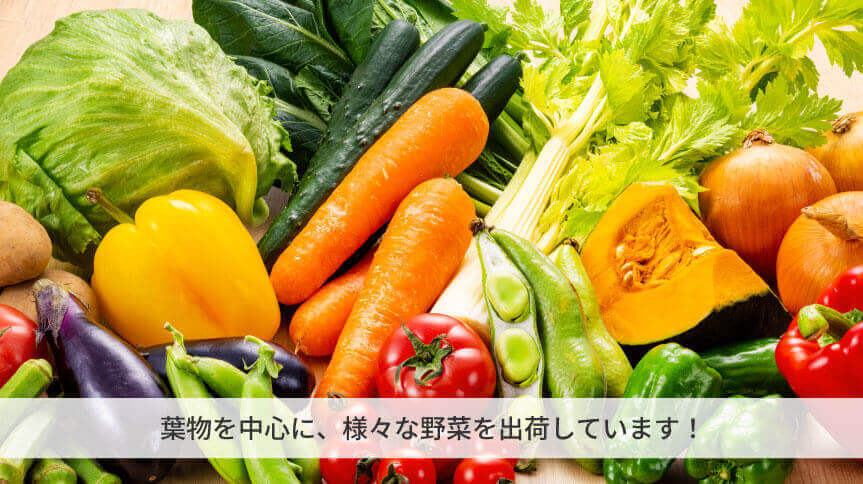 野菜の写真