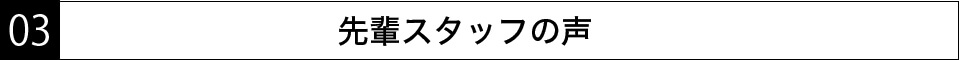 先輩スタッフの声